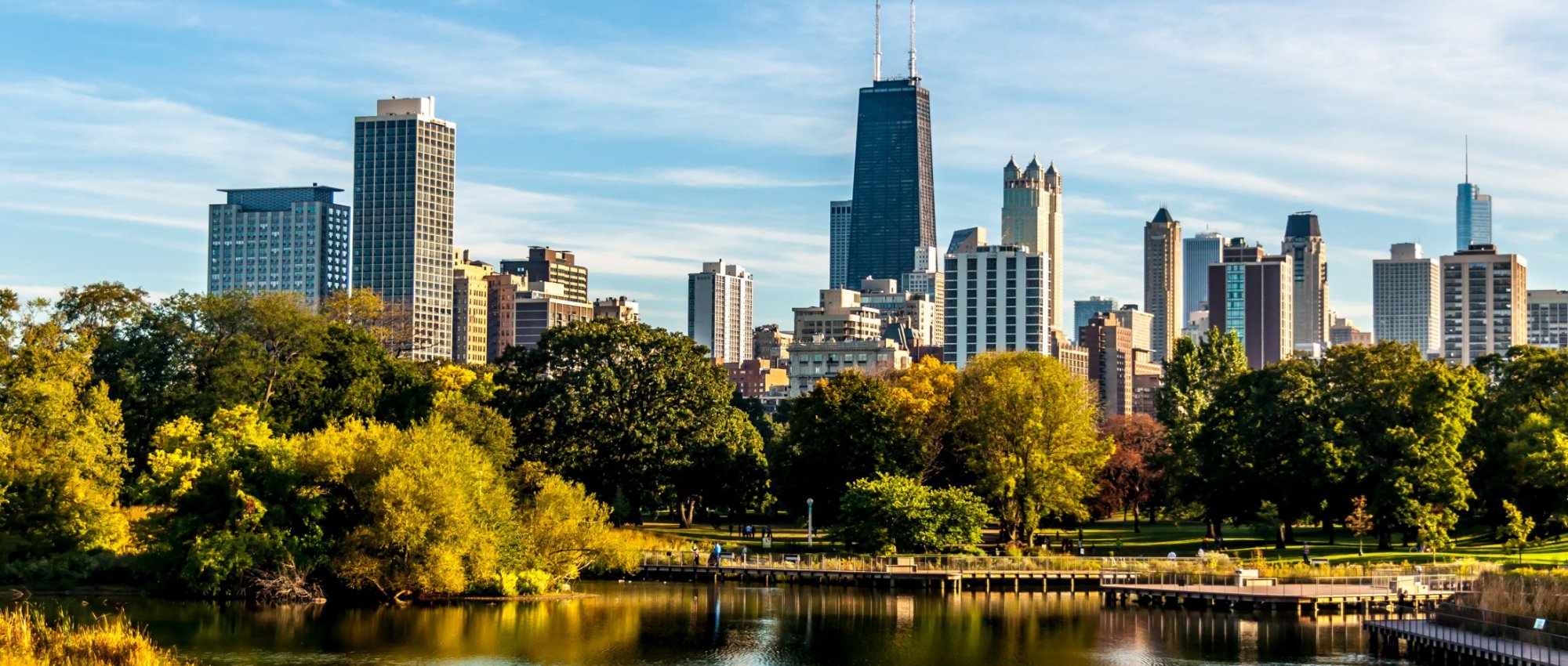 Endodontics Chicago IL, Endodontist